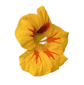 Kapuzinerkresse