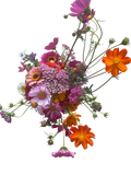 Gärtnerblumenstrauß