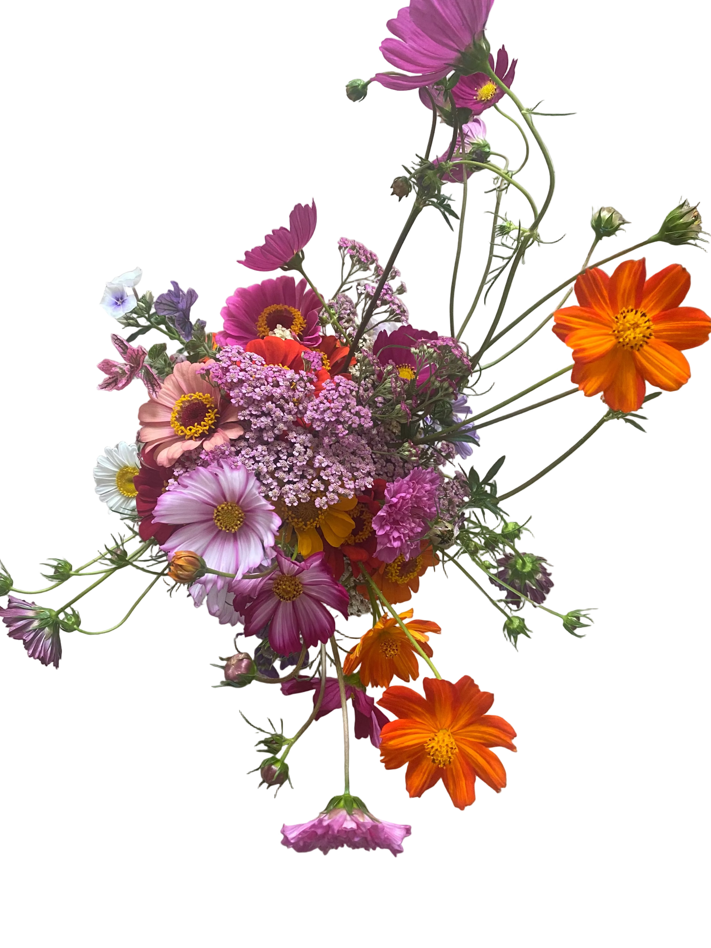 Gärtnerblumenstrauß