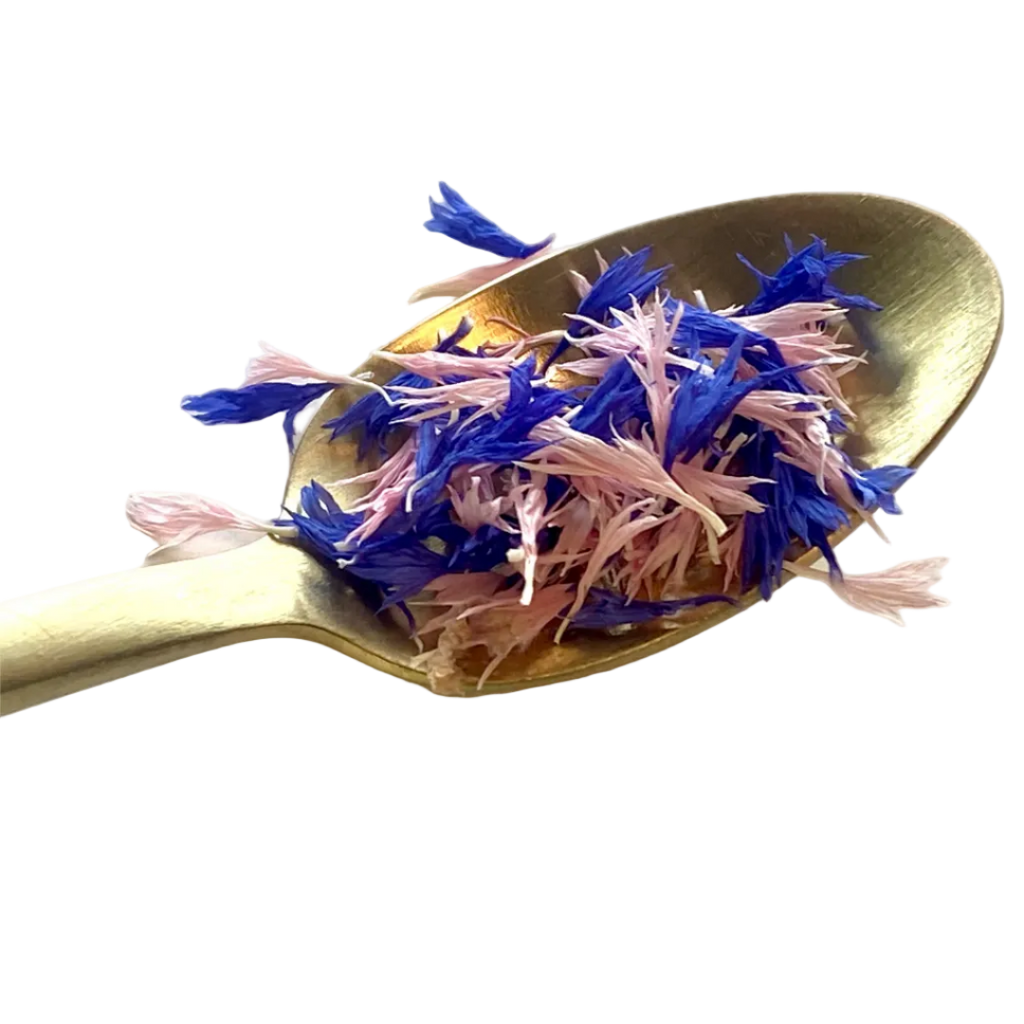 Kornblume Mix getrocknet