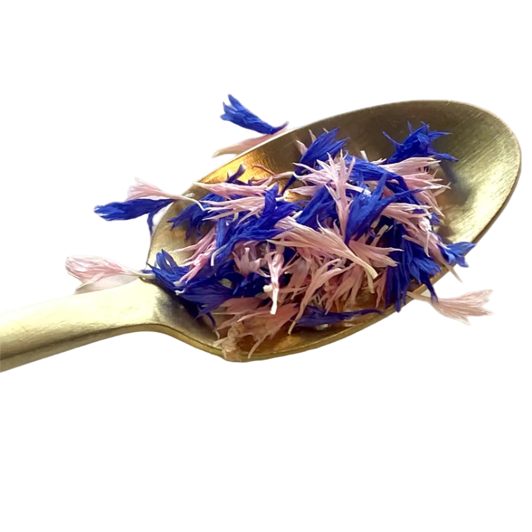 Kornblume Mix getrocknet