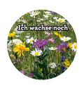 Blütenmix getrocknet