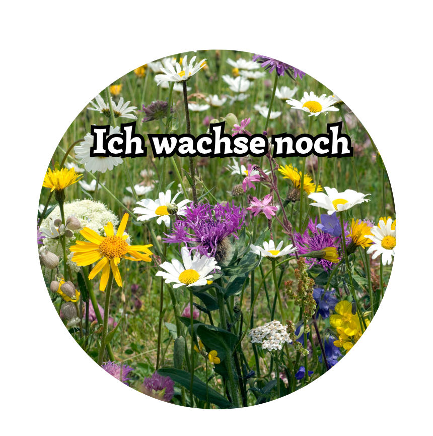 Blütenmix getrocknet